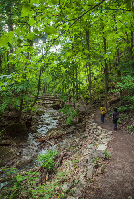 greenbelt forest walk